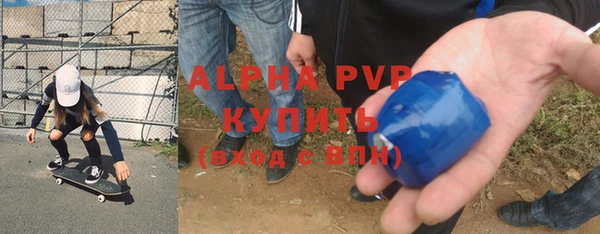 ПСИЛОЦИБИНОВЫЕ ГРИБЫ Вязьма