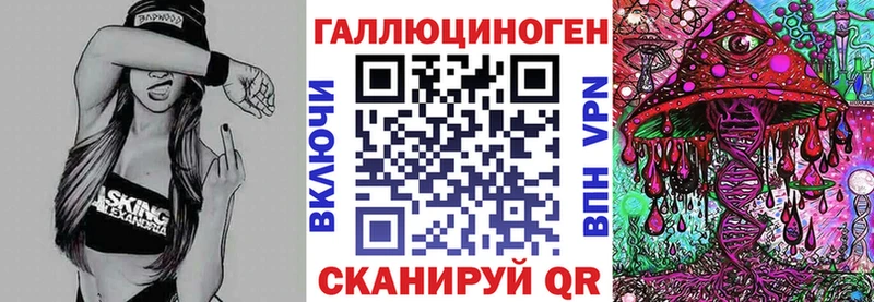 Галлюциногенные грибы Psilocybe omg сайт Новошахтинск